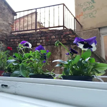 Location For * Belgrade